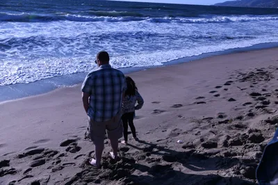 DSC_0517 (Large).JPG